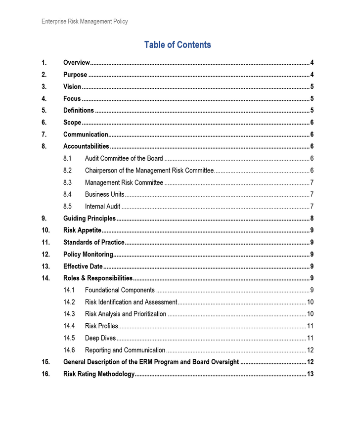 Enterprise Risk Management Policy Template