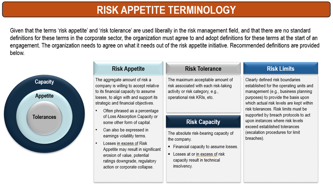 Risk Appetite Template