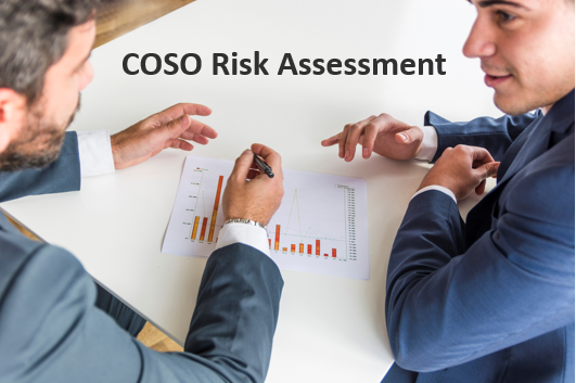 COSO Risk Assessment