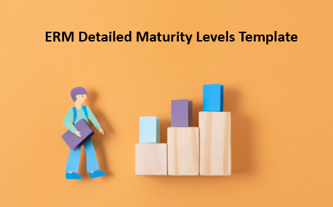 ERM Detailed Maturity Levels Template