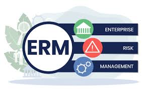 Which Application Is Used In ERM Process?