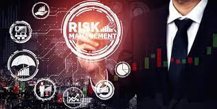 Introduction To Cyber Risk Management Services