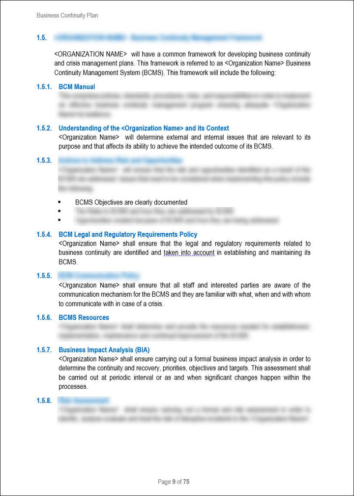 Business Continuity Plan Template