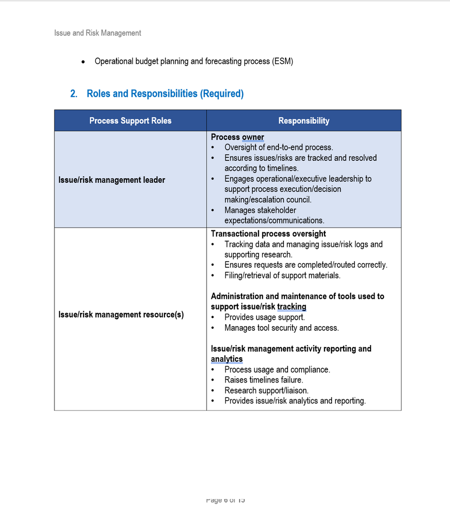 ISSUE AND RISK MANAGEMENT TEMPLATE