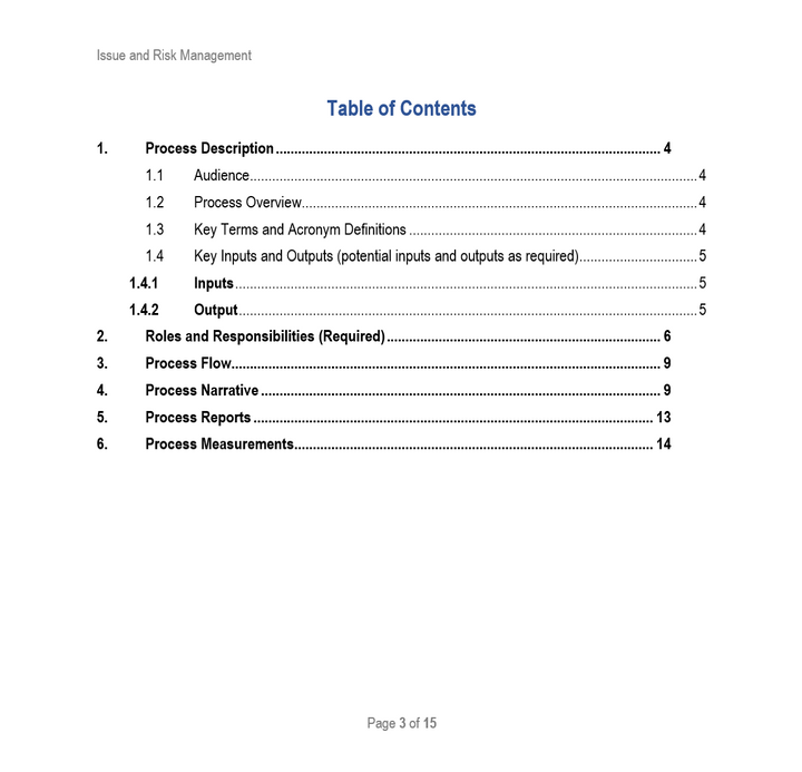 ISSUE AND RISK MANAGEMENT TEMPLATE